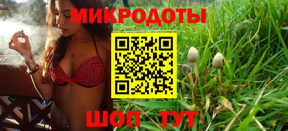 Галлюциногенные грибы прущие грибы  Псилоцибиновые грибы ЛСД  Заречный  Вход с VPN 